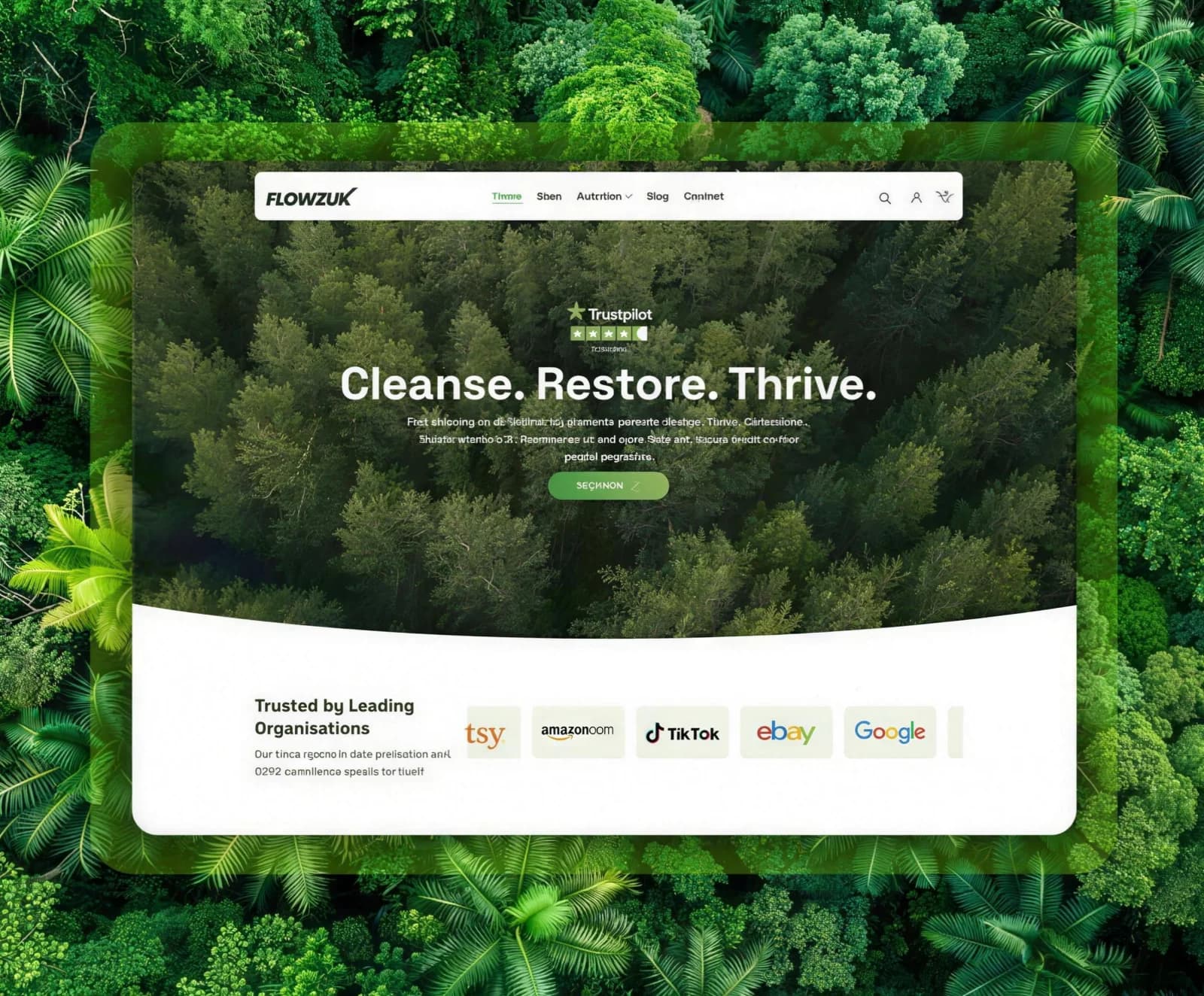 Flowz UK website screenshot